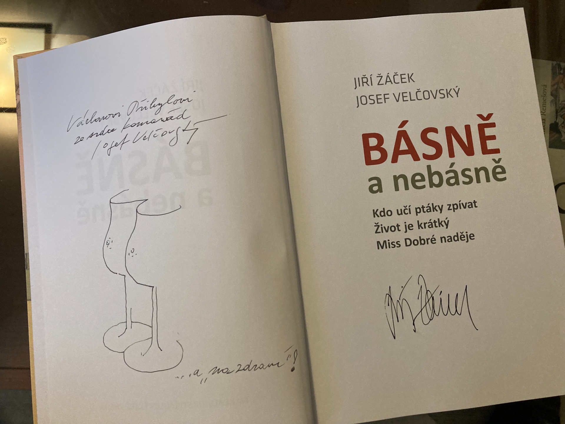 Věnování Josefa Velčovského panu Václavu Přibylovi z galerie Premium Art